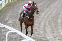 20251102-143203-DSC_9821