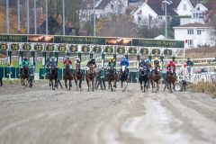 20251102-143755-DSC_9909