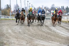 20251102-143807-DSC_0038