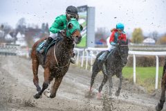 20251102-143810-DSC_0090