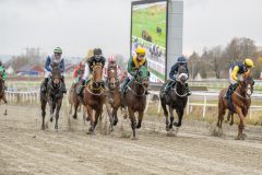 20251102-143823-DSC9466