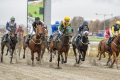 20251102-143823-DSC9470