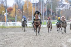 20251102-143933-DSC_0234