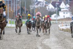 20251102-143935-DSC_0251