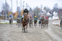 20251102-143936-DSC_0273