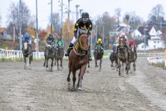 20251102-143936-DSC_0277