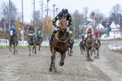 20251102-143937-DSC_0281