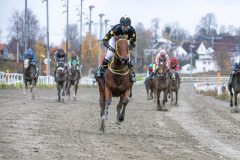 20251102-143937-DSC_0283