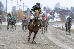 20251102-143937-DSC_0289