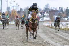 20251102-143937-DSC_0293