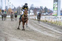 20251102-143937-DSC_0295