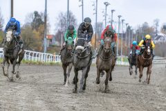 20251102-143940-DSC_0324