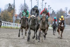 20251102-143940-DSC_0328