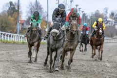 20251102-143940-DSC_0333