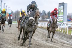 20251102-143941-DSC_0347