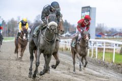 20251102-143941-DSC_0350