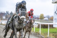 20251102-143942-DSC_0355