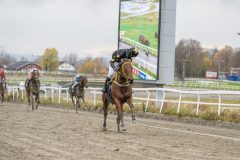 20251102-143951-DSC9486