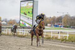 20251102-143952-DSC9490