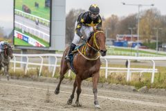 20251102-143952-DSC9491