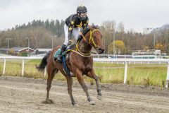 20251102-143953-DSC9492