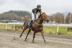 20251102-143953-DSC9493