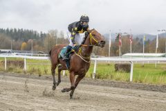 20251102-143953-DSC9494