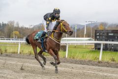 20251102-143953-DSC9495