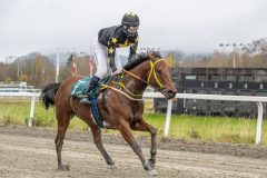 20251102-143953-DSC9496