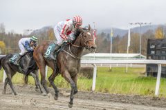 20251102-143955-DSC9501