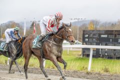 20251102-143955-DSC9502