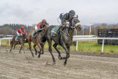 20251102-143956-DSC9504