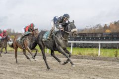 20251102-143957-DSC9505