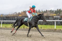 20251102-144000-DSC9511