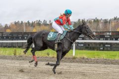 20251102-144000-DSC9512