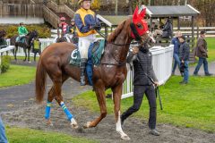 20251102-145542-DSC9629