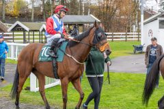 20251102-145558-DSC9665