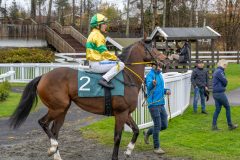 20251102-145601-DSC9668