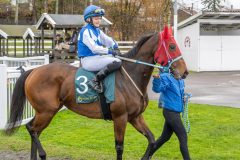 20251102-145620-DSC9680