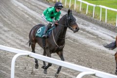 20251102-145655-DSC_0446