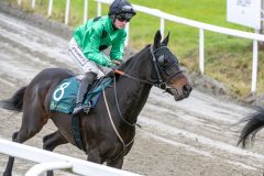 20251102-145655-DSC_0453