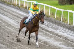 20251102-145659-DSC_0472