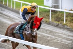 20251102-145707-DSC_0514