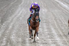 20251102-145724-DSC_0571