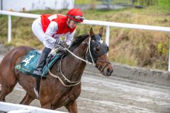 20251102-145729-DSC_0620