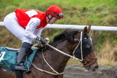 20251102-145729-DSC_0631