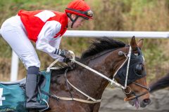 20251102-145730-DSC_0634