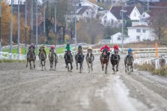 20251102-150822-DSC_0724