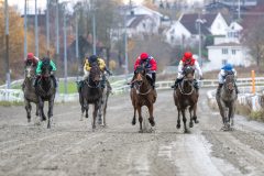 20251102-150828-DSC_0793