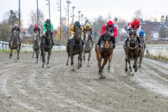 20251102-150832-DSC_0861